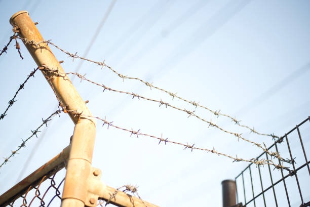 The Benefits of Professional Fencing Installation for Your Home
